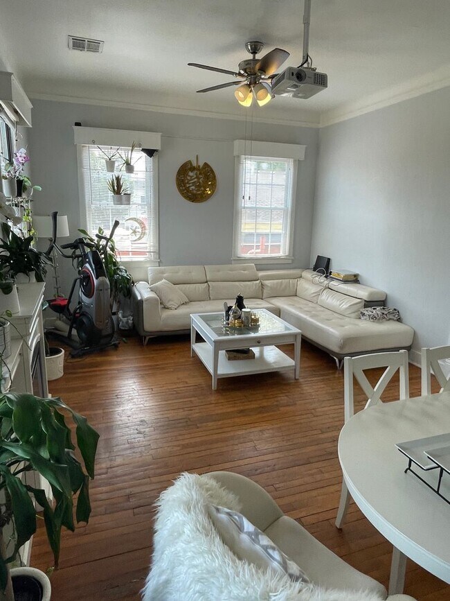 Foto del edificio - Gorgeous 3BD Apartment above commercial space ON MAPLE ST