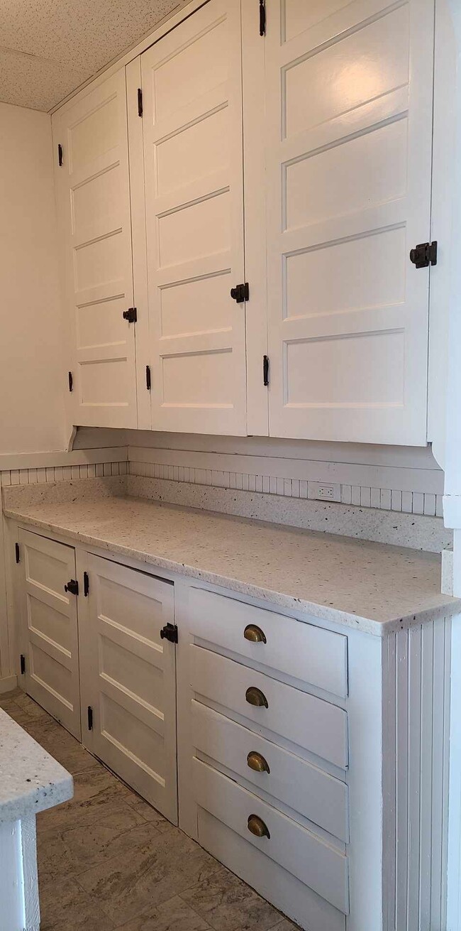 Stunning cabinets with Pitaya White Granite - 489 Lincoln St