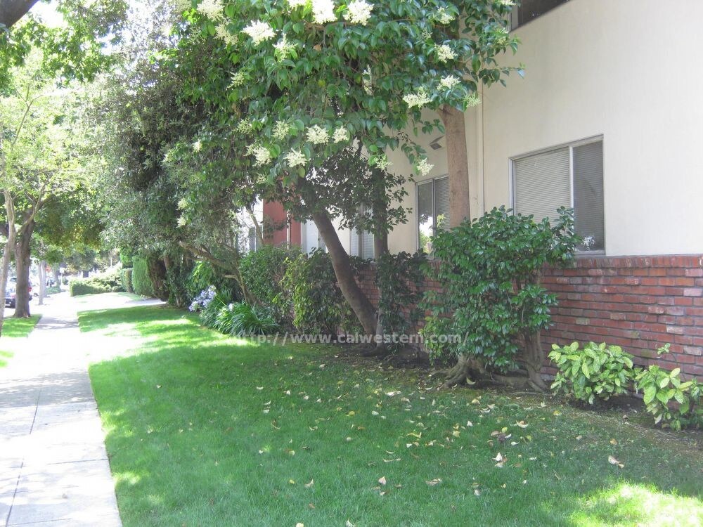 1/1 Downstairs Apartment in 10 plex Apartment for Rent in Sunnyvale
