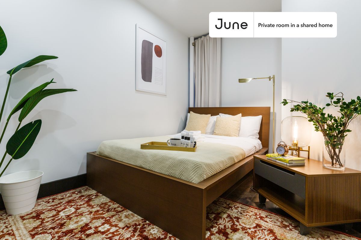 Room in Shared 3 bed/1 bath home - Room in Shared 3 bed/1 bath home