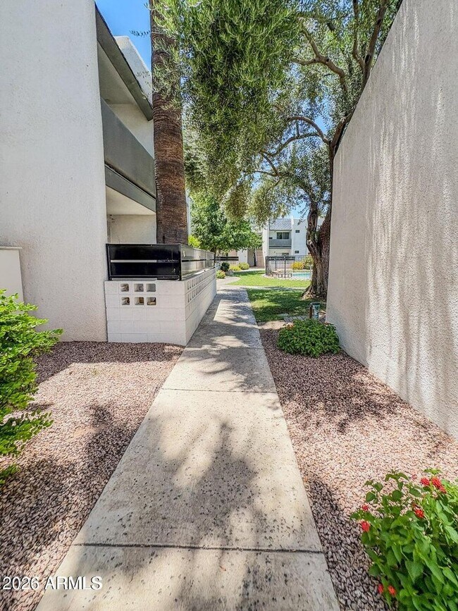 Foto del edificio - Nice studio apartment in Phoenix!