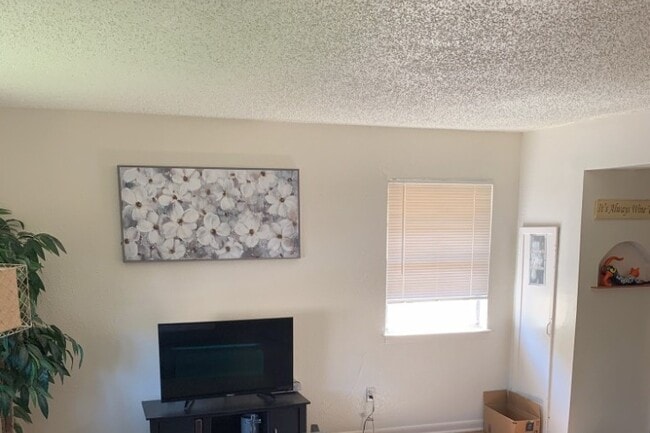 Living area - 5102 Bell St