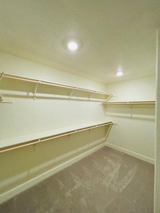 Building Photo - Brand New 4 Bedroom Home