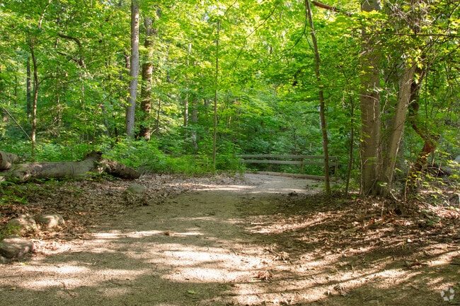 Come take a peaceful and secluded walk at Zion Nature Center trail in Zionsville.