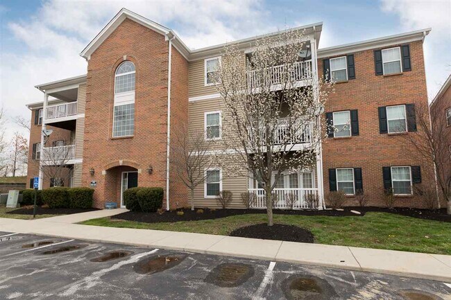 Foto del edificio - 613 Ivy Ridge Dr