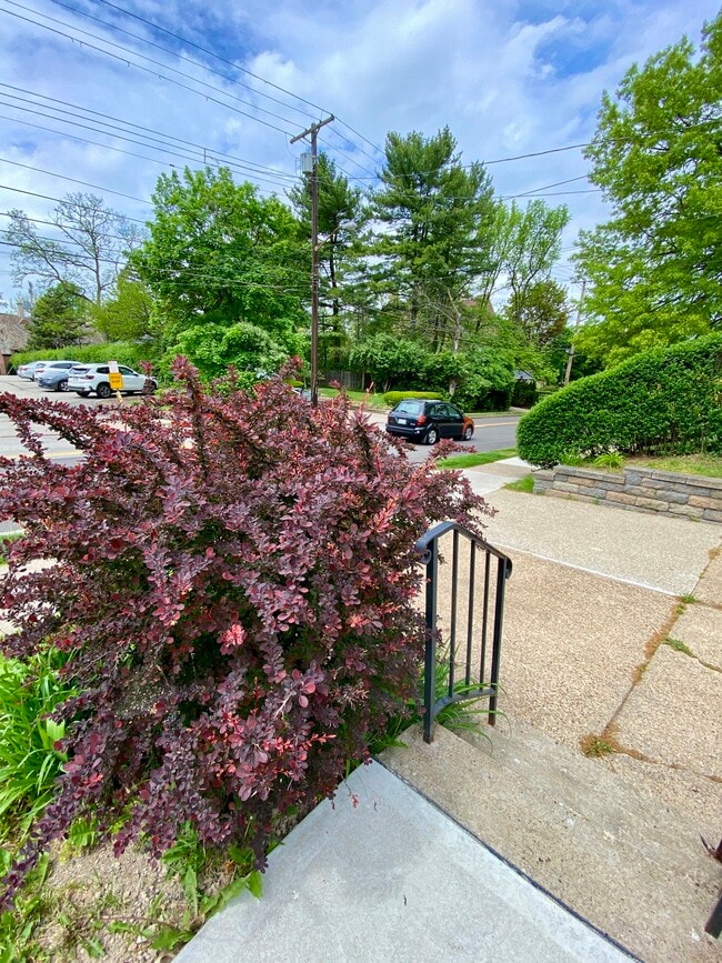 Building Photo - 815 Morewood Ave