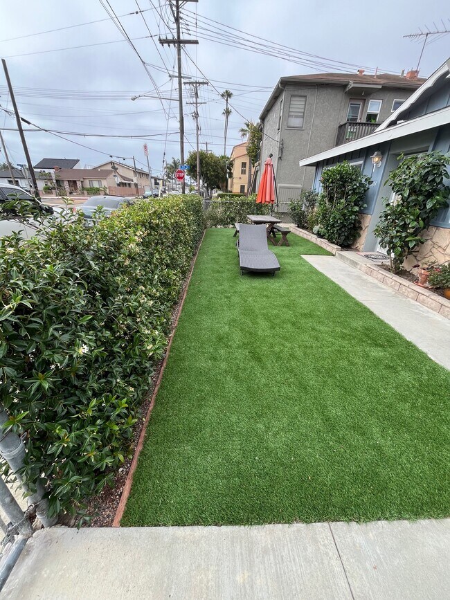 front yard - 1433 S Mesa St