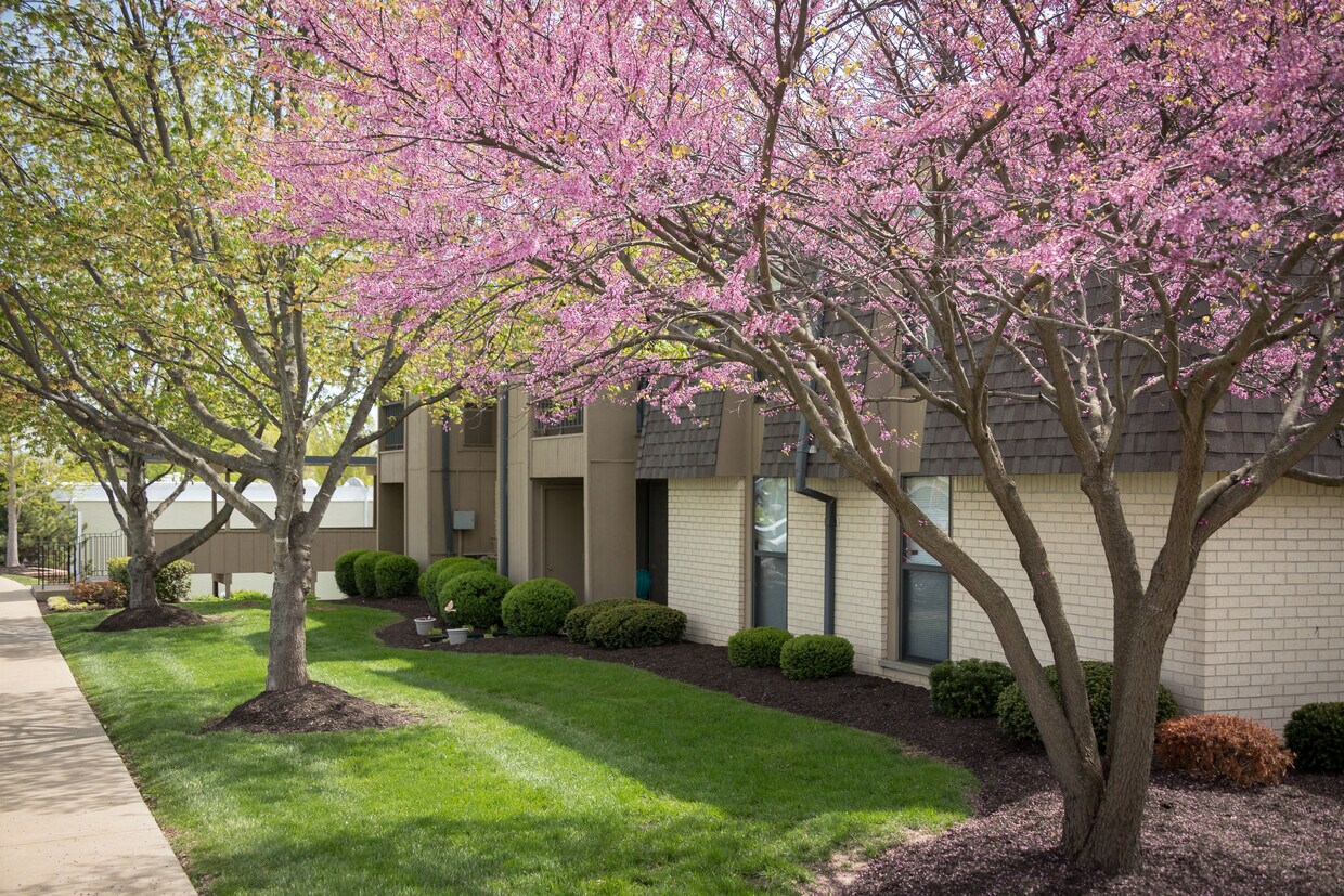 Foto principal - Chesterfield Place Apartments