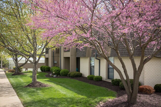 Building Photo - Chesterfield Place