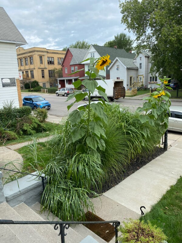 Foto del edificio - 549 South Park Ave