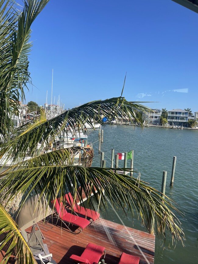 views of back area on Boca Ciega Bay - 13535 Boca Ciega Ave