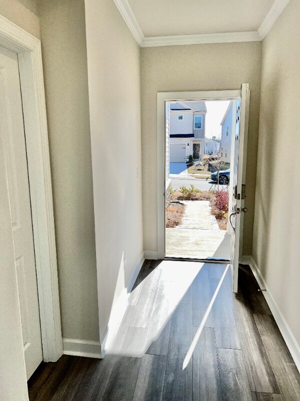 Building Photo - 314 Hyssop Ct