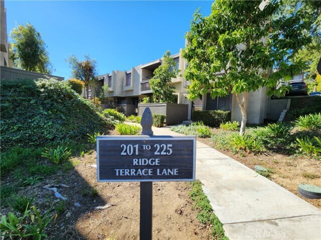 Building Photo - 219 Ridge Terrace Ln