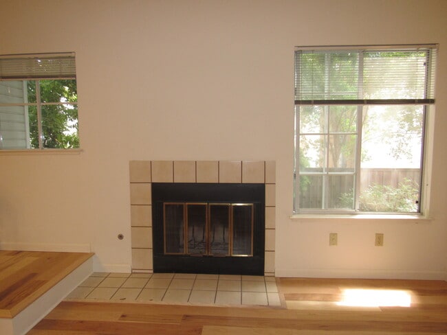 Fireplace - 972 Belmont Ter