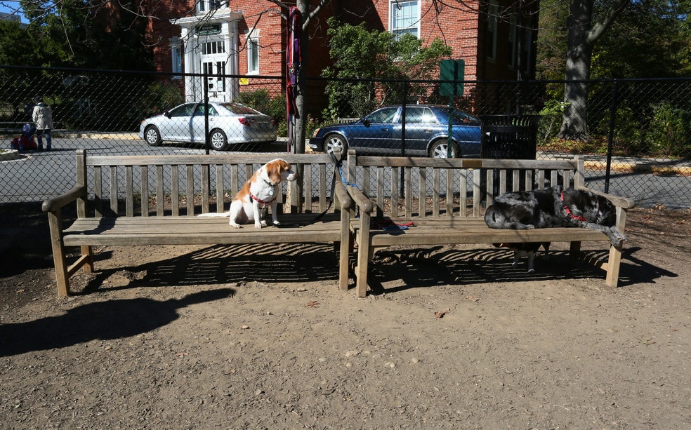 Living in Glover Park Washington, DC Neighborhood Guide by