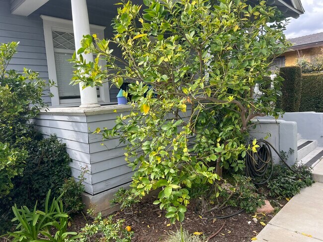 Building Photo - 1253 N Commonwealth Ave