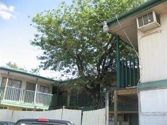 Foto del edificio - 9603 Marlive Ln