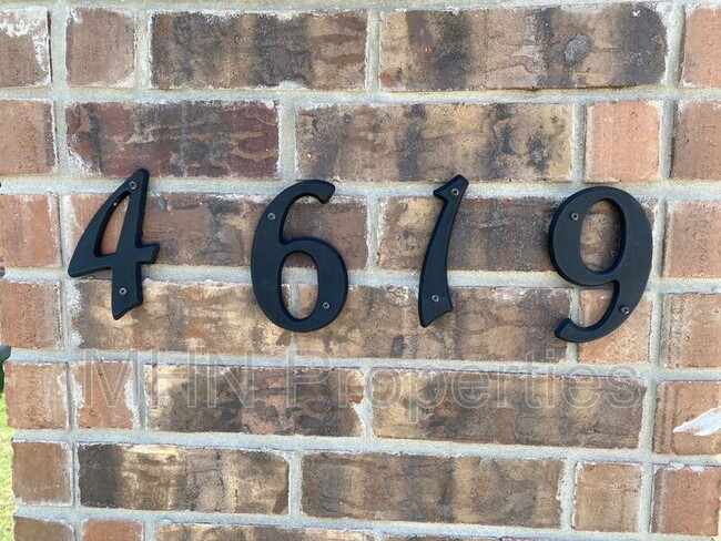 Building Photo - 4619 Heathers Star St