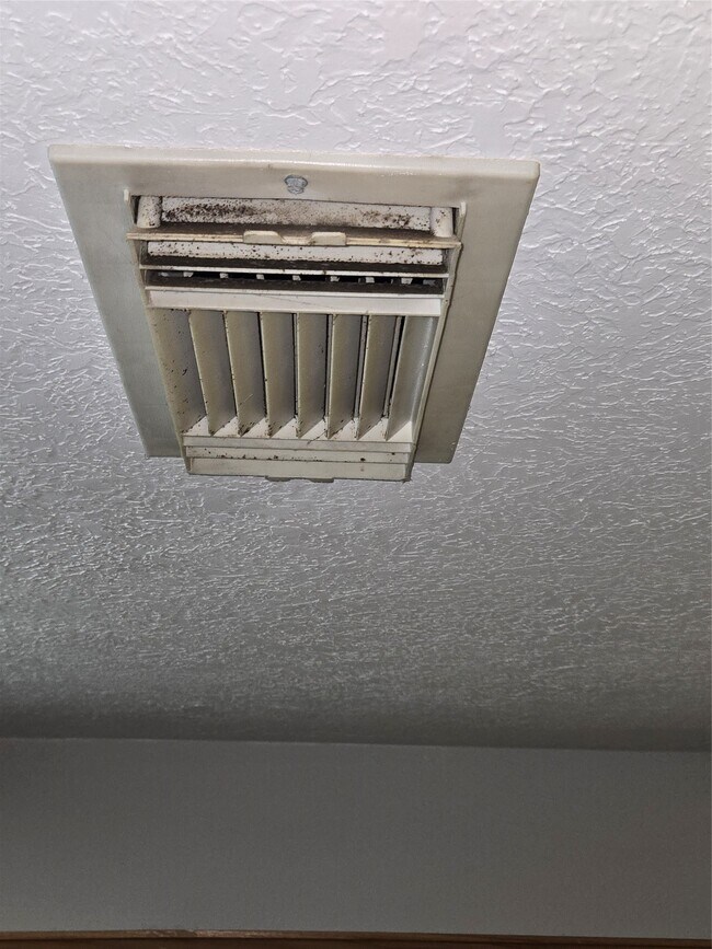 Foto del edificio - 938 Birnham Woods Blvd