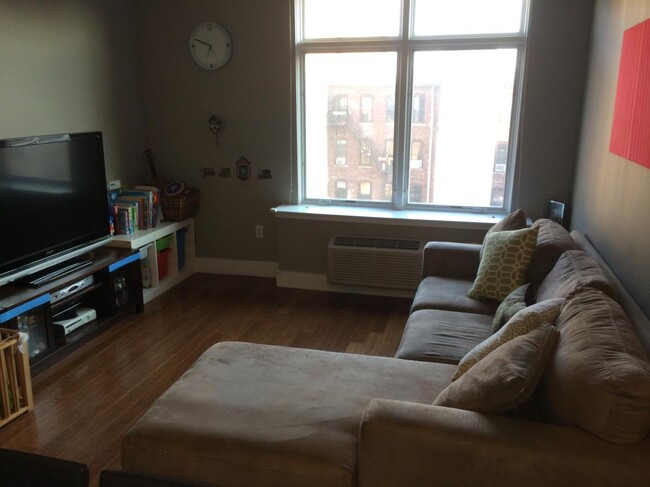 Living Room - 217 Newark Ave