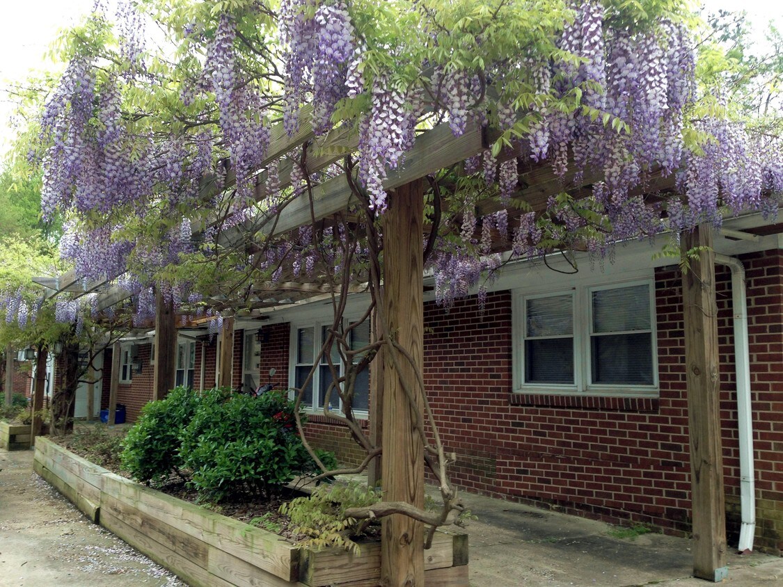 Primary Photo - 5 Howell St