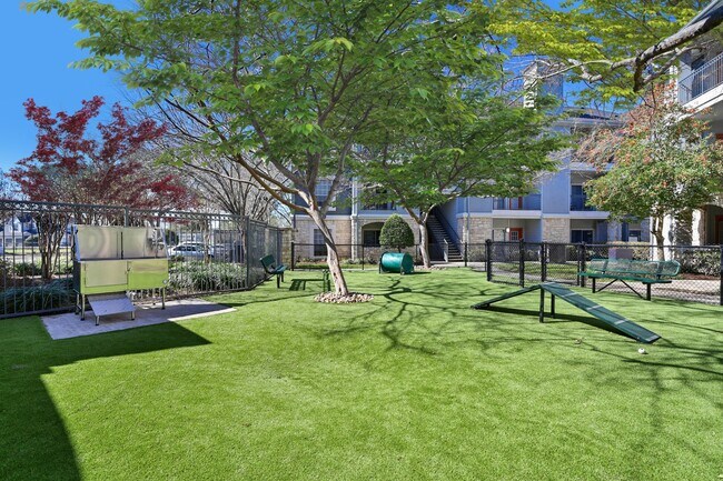 Parque para perros - City Park in the Heights
