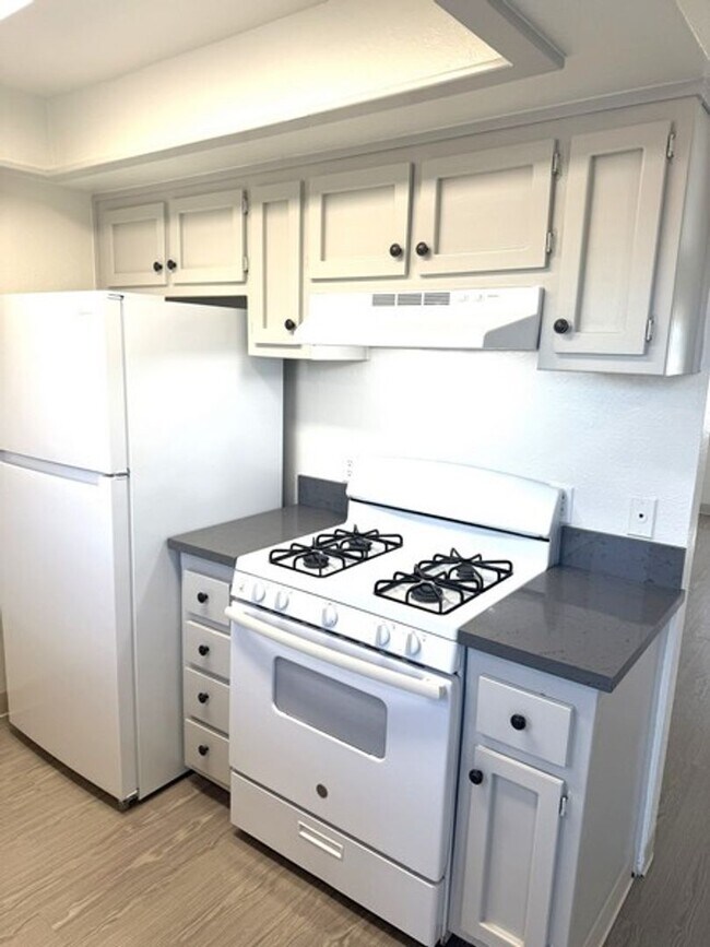 Foto del edificio - Remodeled Guadalupe 2 bedroom apt