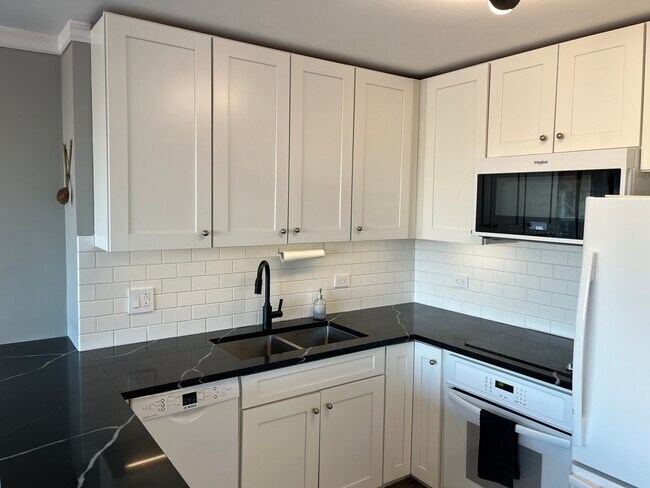 Building Photo - 1360 N Sandburg Terrace