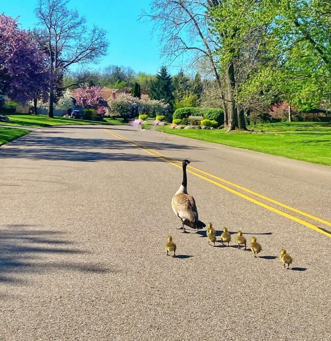 Foto del edificio - 29822 Indian Trail