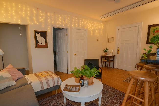 Building Photo - 56 Egmont St