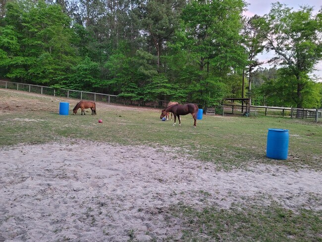 Building Photo - 331 Glenwood Dr