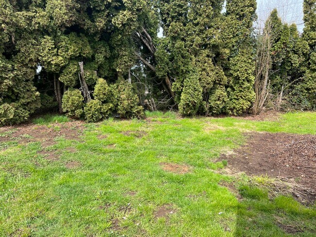 Foto del edificio - milm13