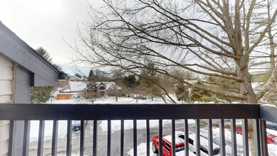 Interior Photo - Calvert's Walk