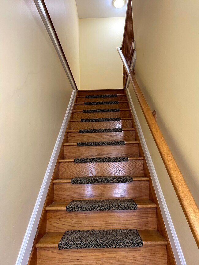 Stairs to Apt - 219 Congress St