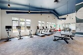 Located at 235 Verbena St in Charlotte, NC, this well-appointed fitness center offers a spacious, single-floor layout designed to support a full range of workout routines. The room is immediately striking thanks to its soaring vaulted ceiling, painted a bold navy blue and accented by exposed ductwork and industrial-style pendant lighting — a design detail that lends the space a contemporary, urban feel. Large multi-pane windows line the walls, flooding the interior with generous natural light and providing views of the surrounding outdoor environment.

The exercise area is outfitted with a robust selection of Matrix-brand cardio equipment, including treadmills, ellipticals, and stationary bikes equipped with individual display screens. A dedicated strength training section features a multi-functional cable and functional trainer machine, a full dumbbell rack, a tiered kettlebell rack with a wide range of weights, battle ropes, and adjustable weight benches. Full-length mirrors along one wall expand the sense of space while allowing users to monitor their form.

A large, eye-catching abstract mural serves as a dramatic focal point on one wall, adding an artistic dimension to the environment. Soft, neutral carpeting throughout provides comfort underfoot. The space is accessed through sleek black-framed glass doors, connecting it seamlessly to adjacent areas of the facility.