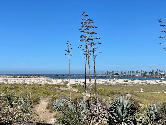 Foto del edificio - Furnished Beach front House in OB One Mont...