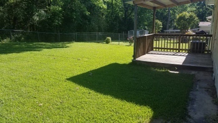 Building Photo - Midfield Home!