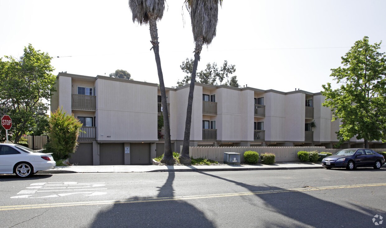Building Photo - Pico Palms