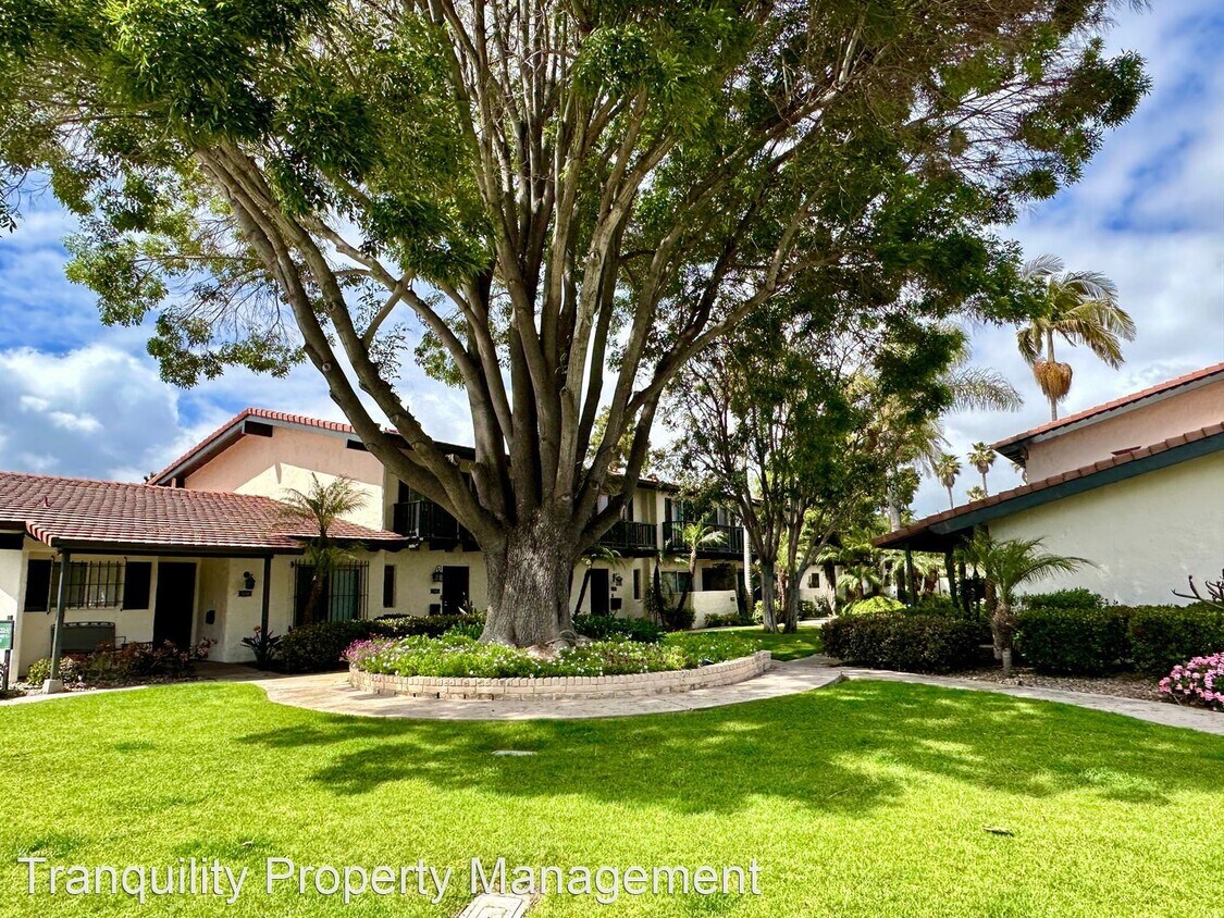 Primary Photo - 3 br, 2.5 bath House - 3266 Loma Riviera