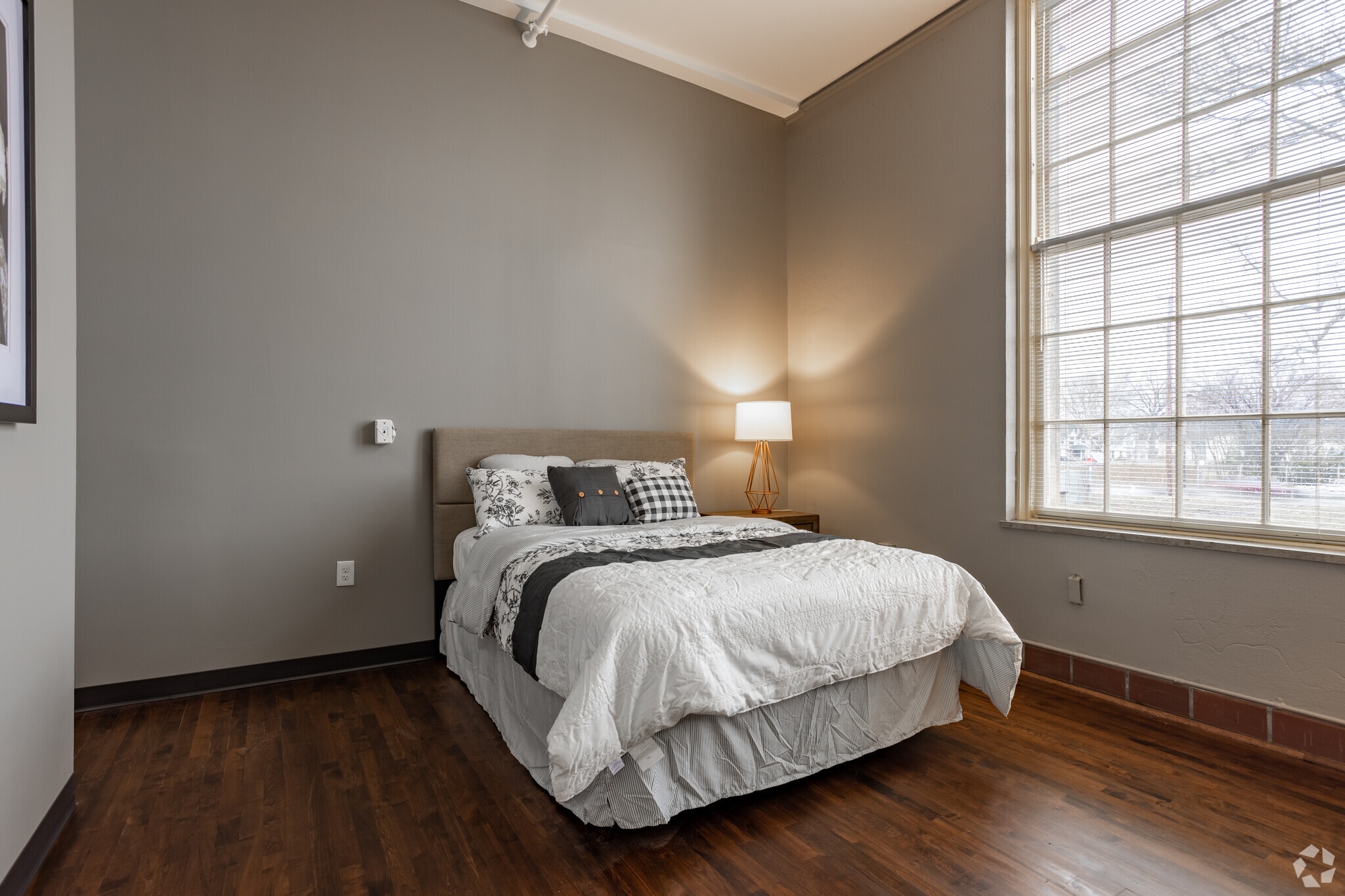 The Longfellow Senior Housing (62+) – photo 3