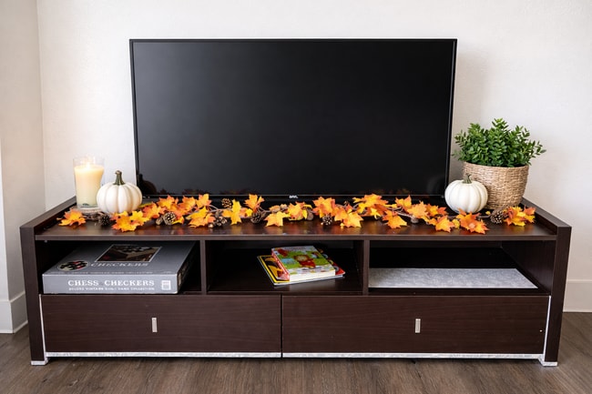 Building Photo - 2811 Dracena St