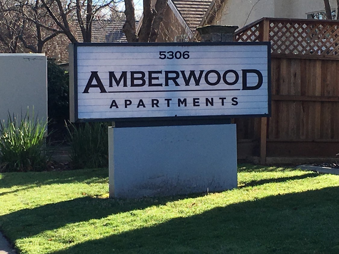 Primary Photo - Amberwood Apartments