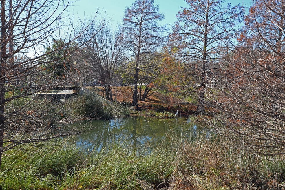 Is The Triangle a Good Place To Live in Austin? Neighborhood Guide by