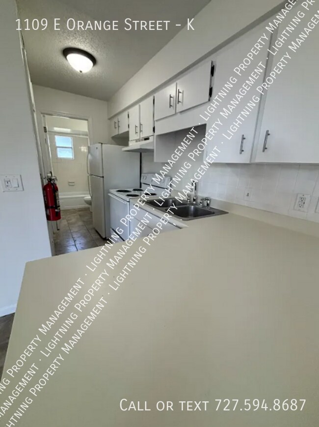 Foto del edificio - 1109 E Orange St