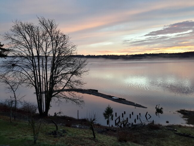 Foto del edificio - 8194 Silverdale Way NW