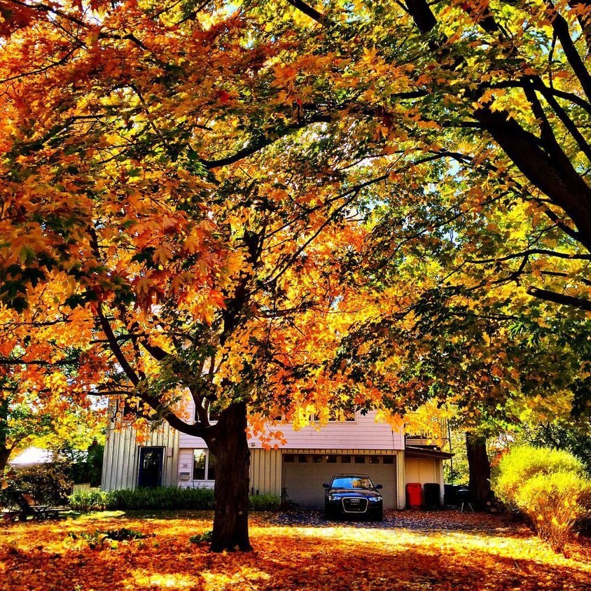 39 Central Ave, South Burlington, VT 05403 House for Rent in South