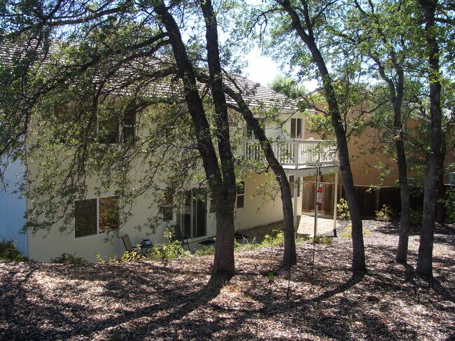 Building Photo - 117 Purple Martin Ct