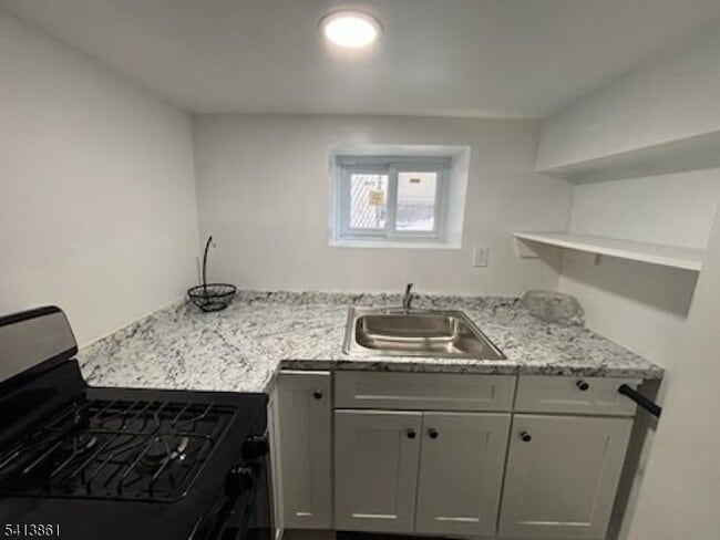 Building Photo - 295 Halsted St