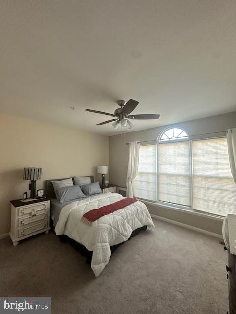 Foto del edificio - 443 Deer Hill Cir