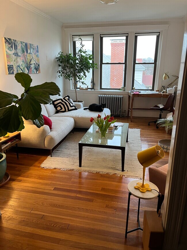 Foto del edificio - 30 Bellevue St